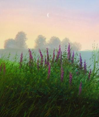 ������� ��������� ����