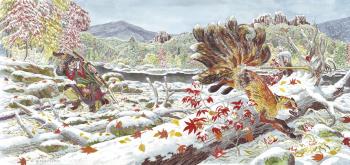 Ten-tailed fox (Ethnography). Fomin Nikolay