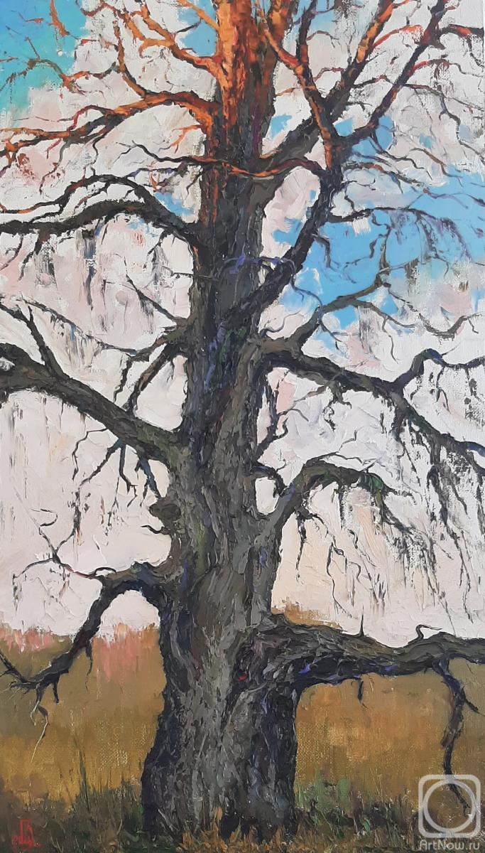 ������� ������ �� ������. ���������� �������. �������