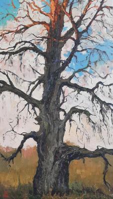 �������. ���������� �������