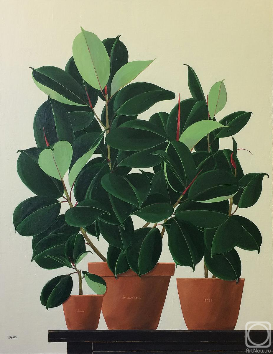 Berestova Ksenia. Untitled