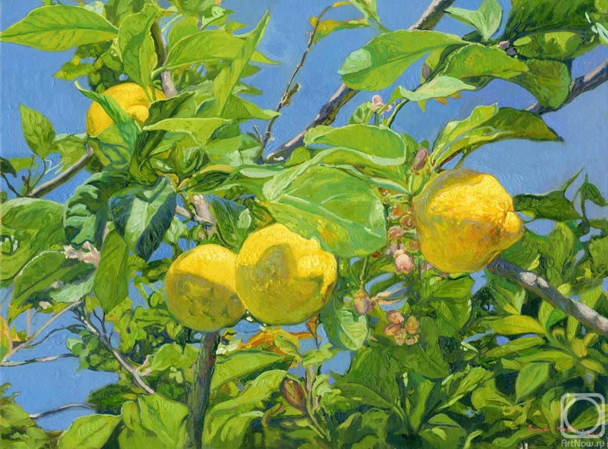 ������� ������ �� ������. ����� ����. ������