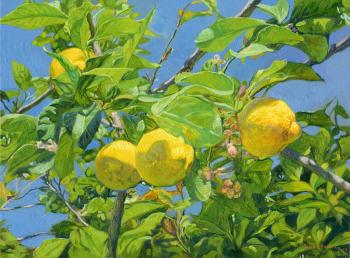Lemons. Kozhin Simon
