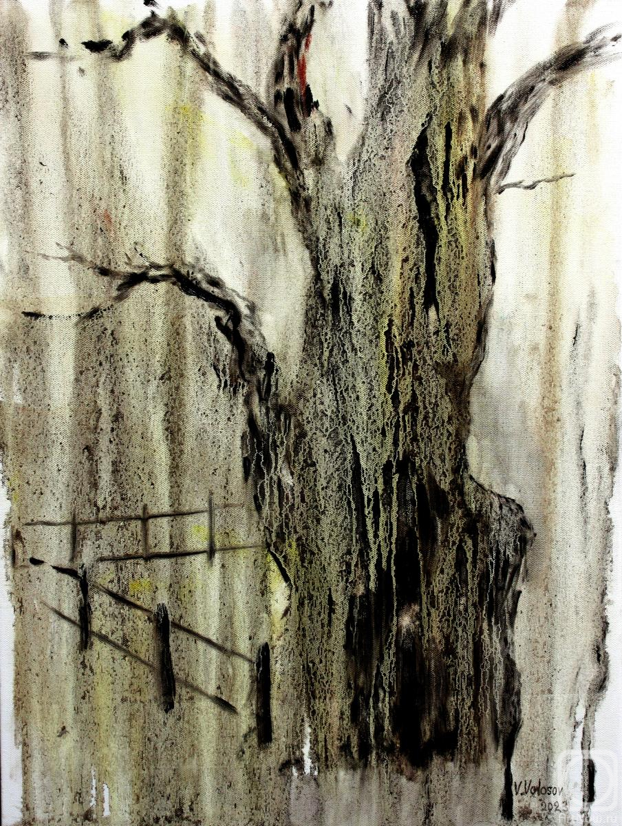 Volosov Vladmir. Old Oak