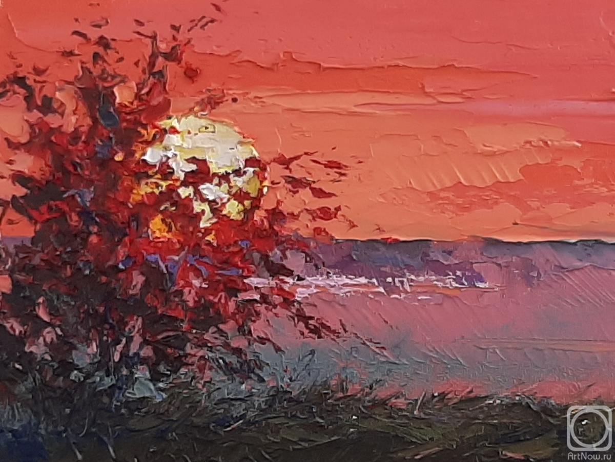 �������. ���������� �������. ���� ��������