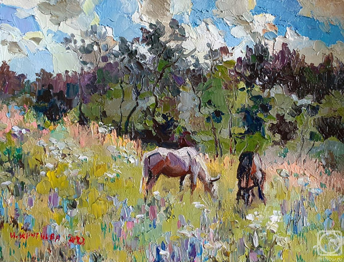 ������� ������ �� ������. �������� �����. ������