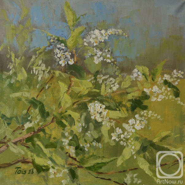 Shirobokova Taisiya. Untitled