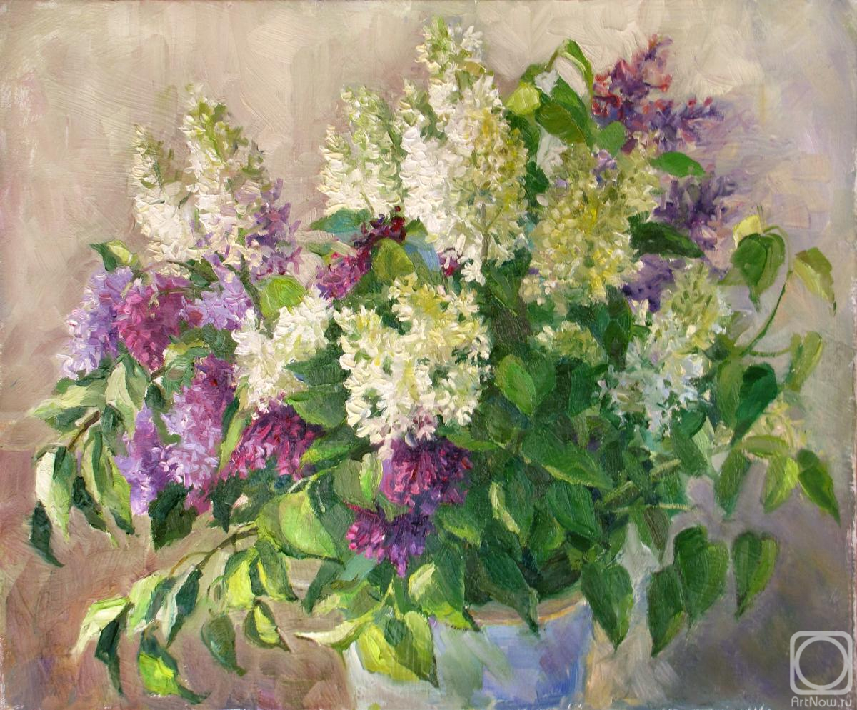 ������� ������ �� ������. �������� �����. ����� ������