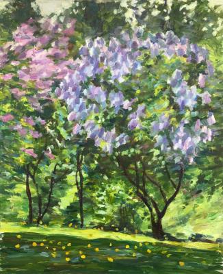 ������� �� �������� ������