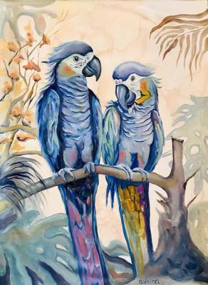 Blue parrots in love. Volna Olga