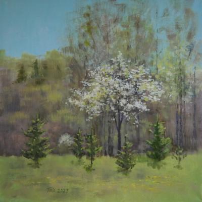 ������� �������� ����. ���� � ��������