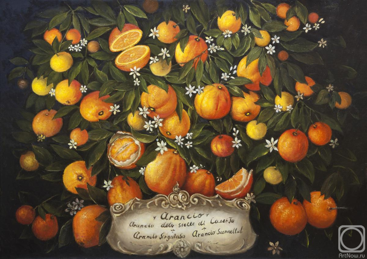 ������� ������ �� ������. ����������� ��������. ���������