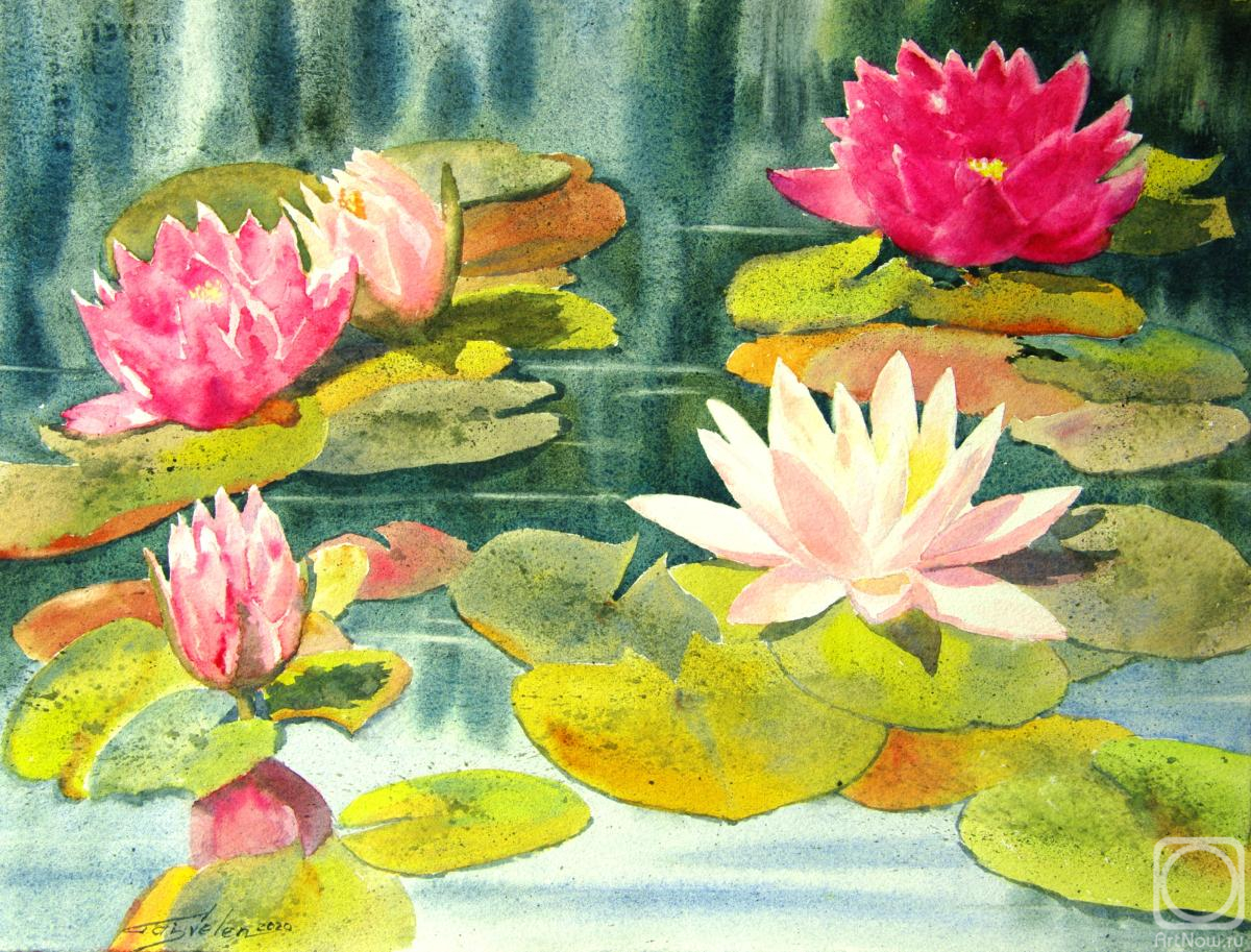 Gayvoronskaya Elena. Water lilies