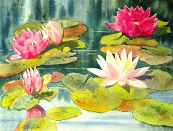 Water lilies (Watercolor Floral). Gayvoronskaya Elena