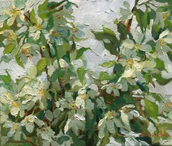 ������ ������. �������� �����