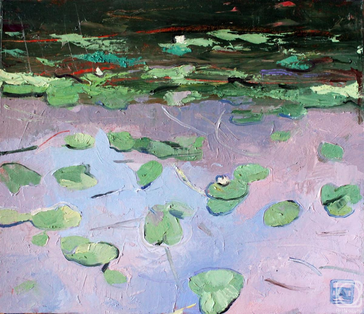 �������. �������� ���������. ������