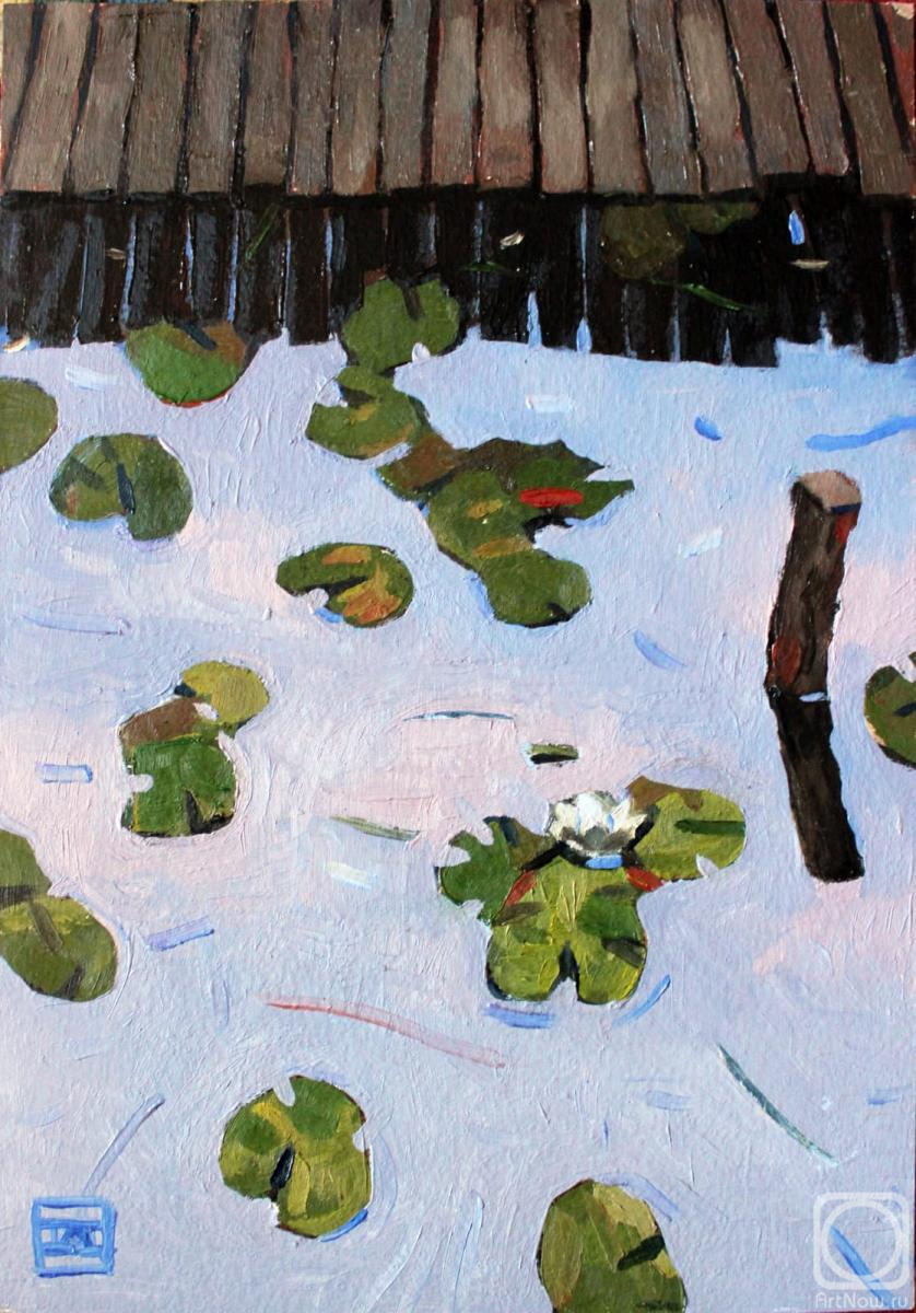 �������. �������� ���������. ���� � �����