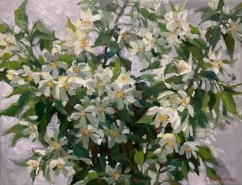 ��������� ����. �������� �����