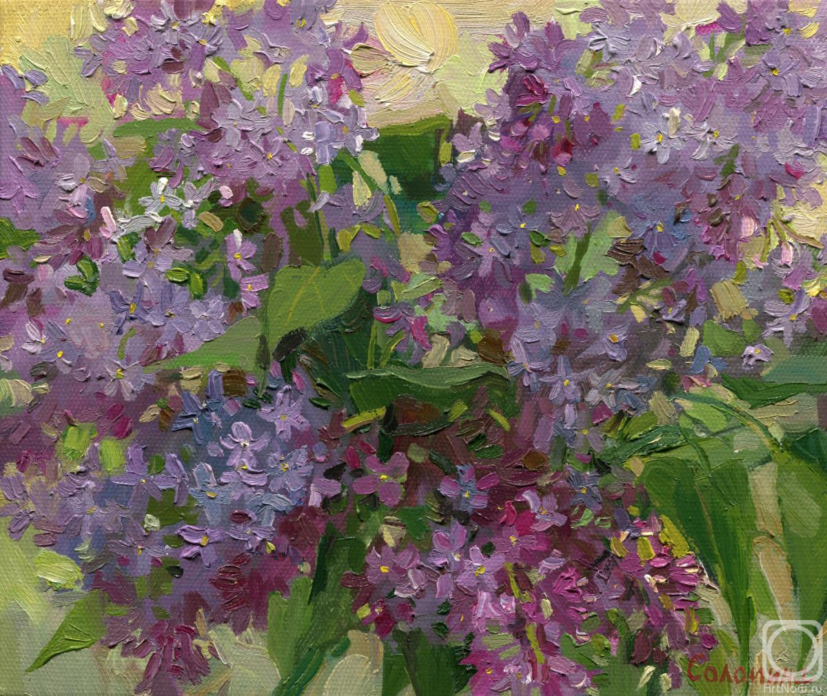 Solomina Sofya. The first lilac