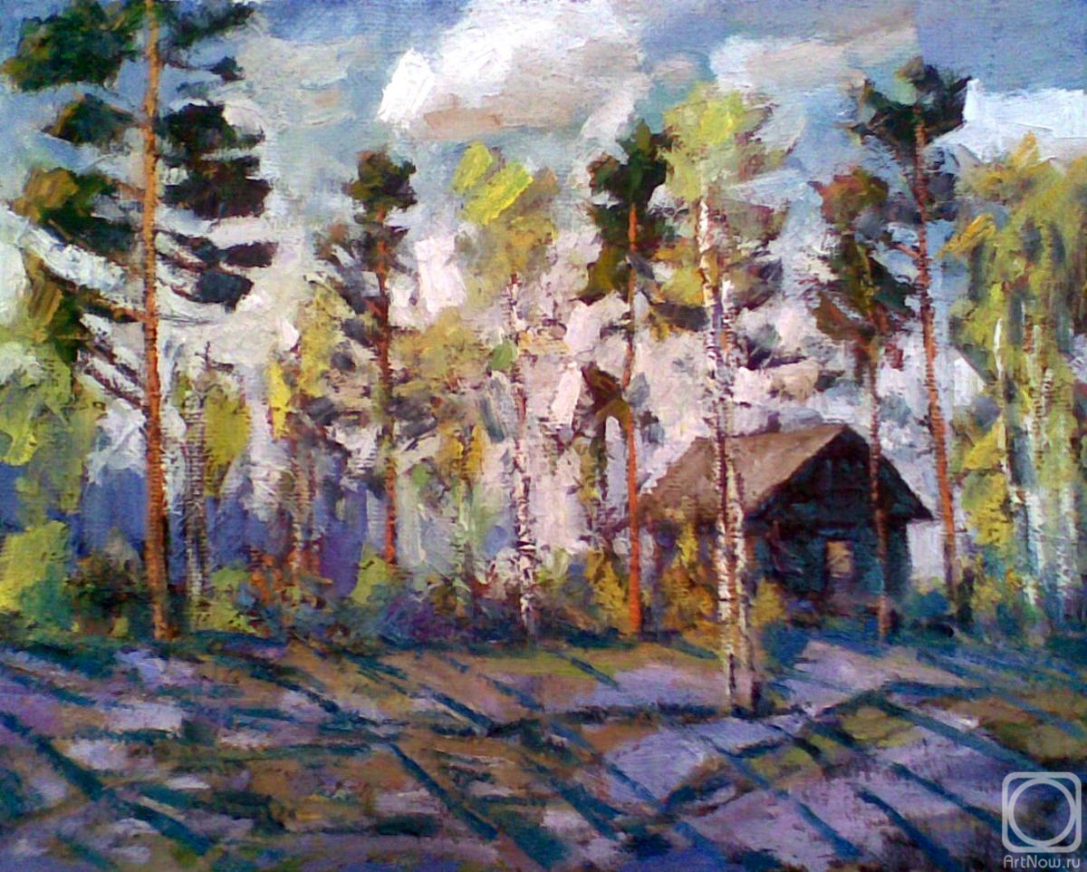 Knecht Aleksander. Funny shadows