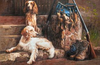 English Setters after the hunt