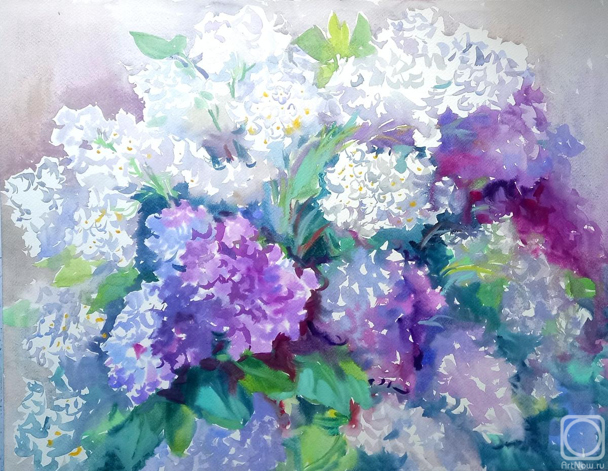 �������. ���������� ���������. ������