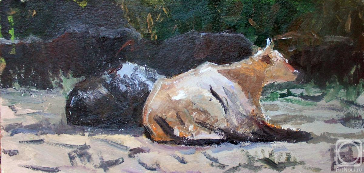 �������. �������� ���������. ������