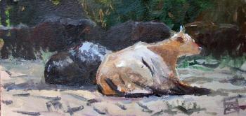 ������. �������� ���������