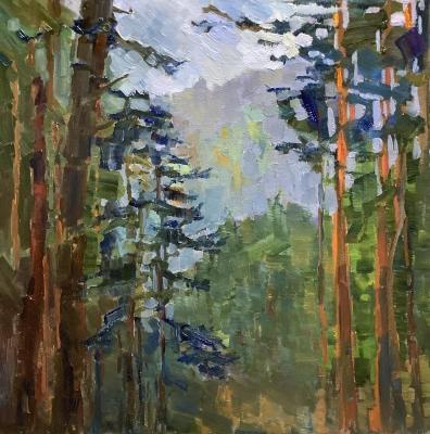 �������� �����. �����. �������� ���������