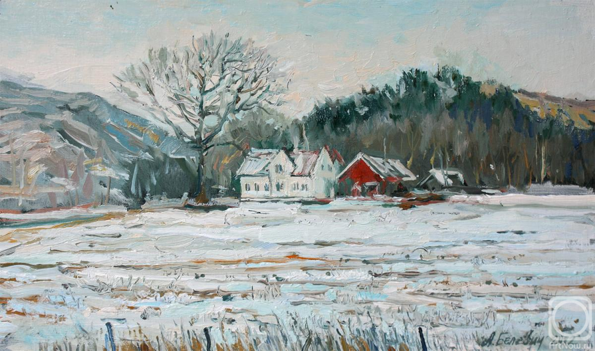 Belevich Andrei. Field Scenery In December
