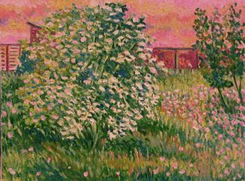 ������� ����� ������ �� ������