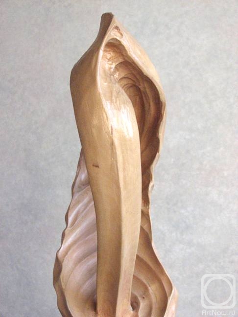 ������ ������. ������ (��������)