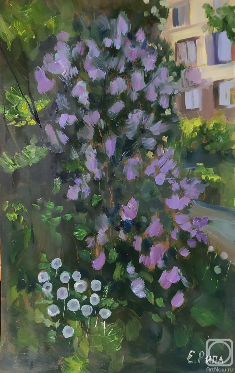 �������. ���� �����. � ���� �����