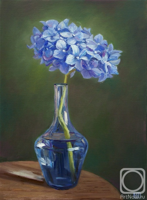 Muraveynikova Yuliya. The Hydrangea