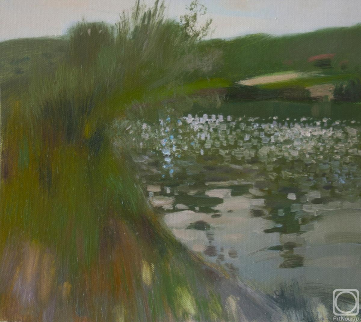 ������� ������ �� ������. ������������ ����. ���� � ������