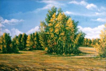Among the Fields. September 5. Abaimov Vladimir