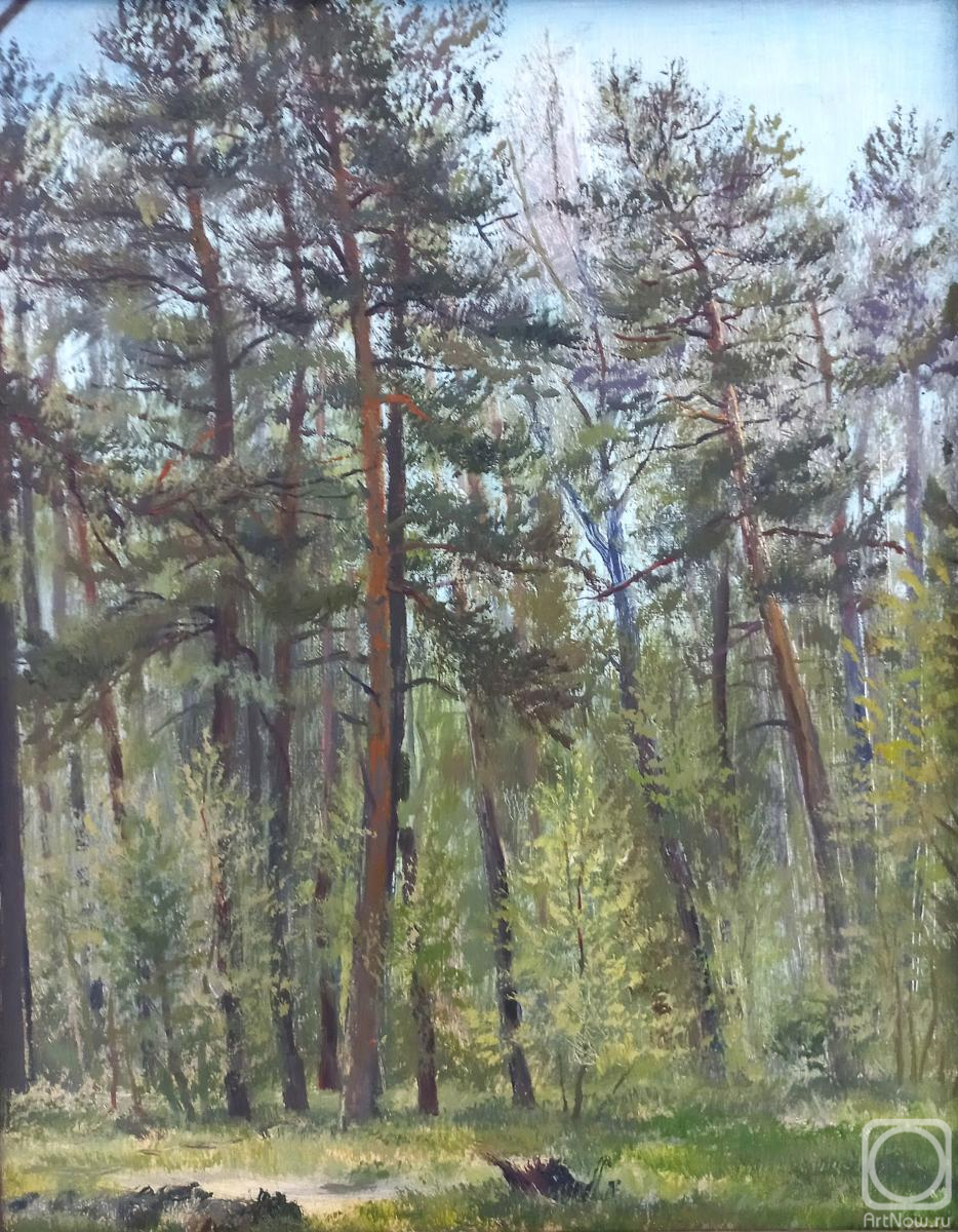 Kovalev Denis. Morning in the Red Forest