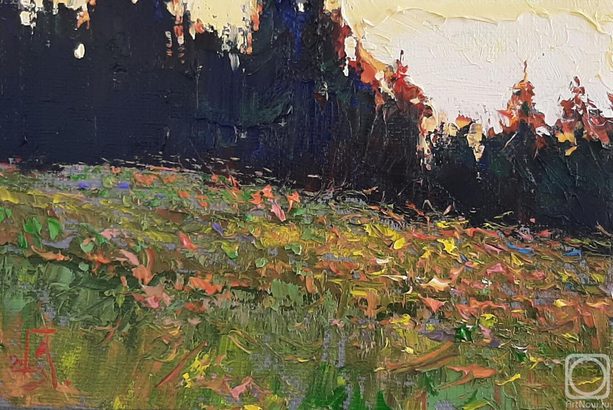 ������� ������ �� ������. ���������� �������. ��������� ������