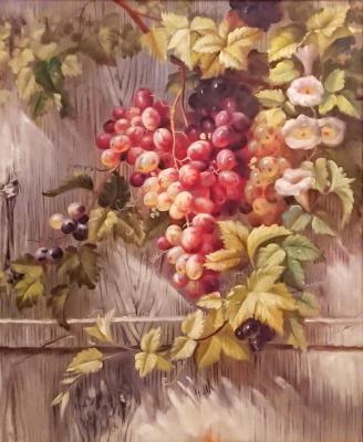 Grapes. Bruno Tina