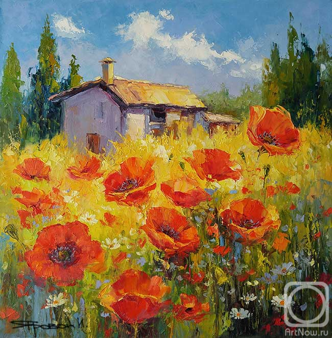 Iarovoi Igor. Among the poppy meadows