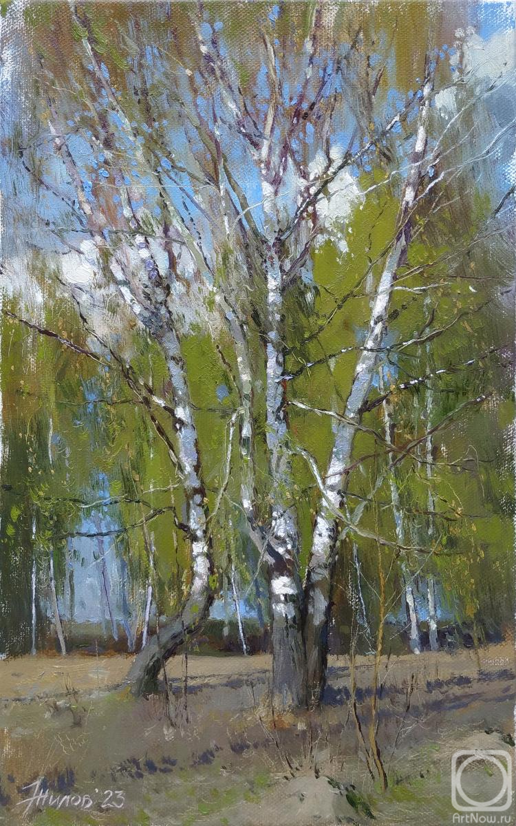 ������� ������ �� ������. ����� ������. ��� ������