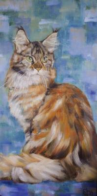   - (Maine Coon).  