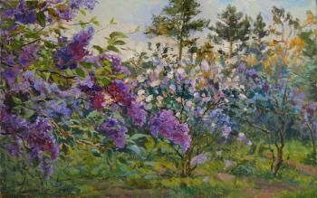 The Evening in Lilac garden