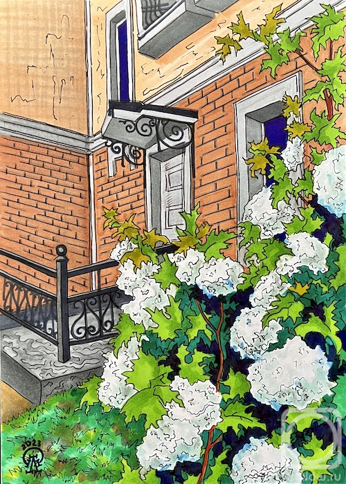 �������. �������� ������. ���������