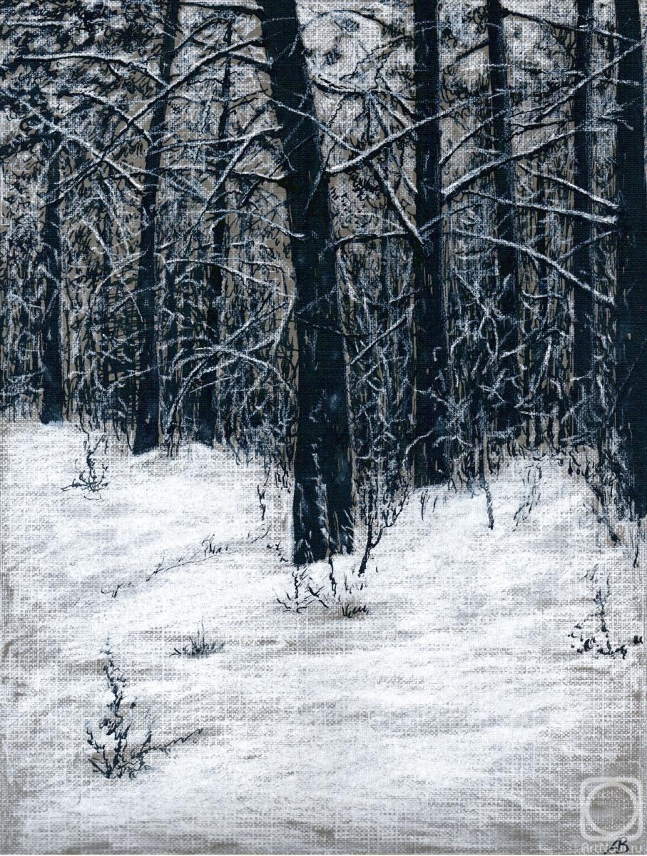 Abaimov Vladimir. Winter Silence