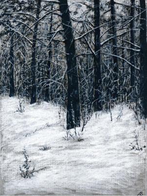 Winter Silence. Abaimov Vladimir