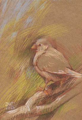 ������� �� �����. ��������� ����