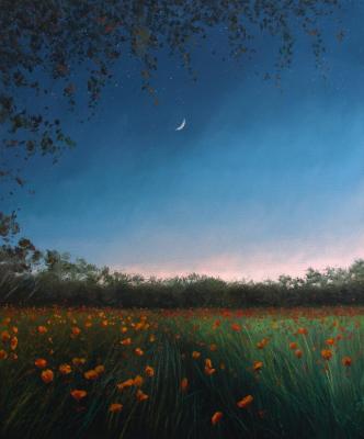 ������� ��������