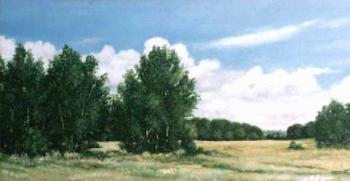 Among the fields. August. Abaimov Vladimir
