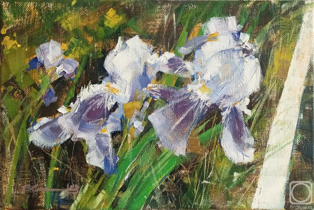 ������� ������ �� ������. ��������� �����. �����